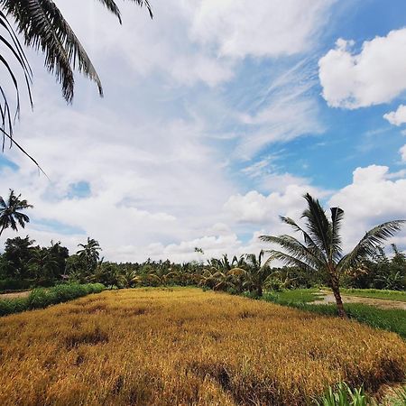 Bunga Maliq Bungalow Lombok เตเตบาตู ภายนอก รูปภาพ
