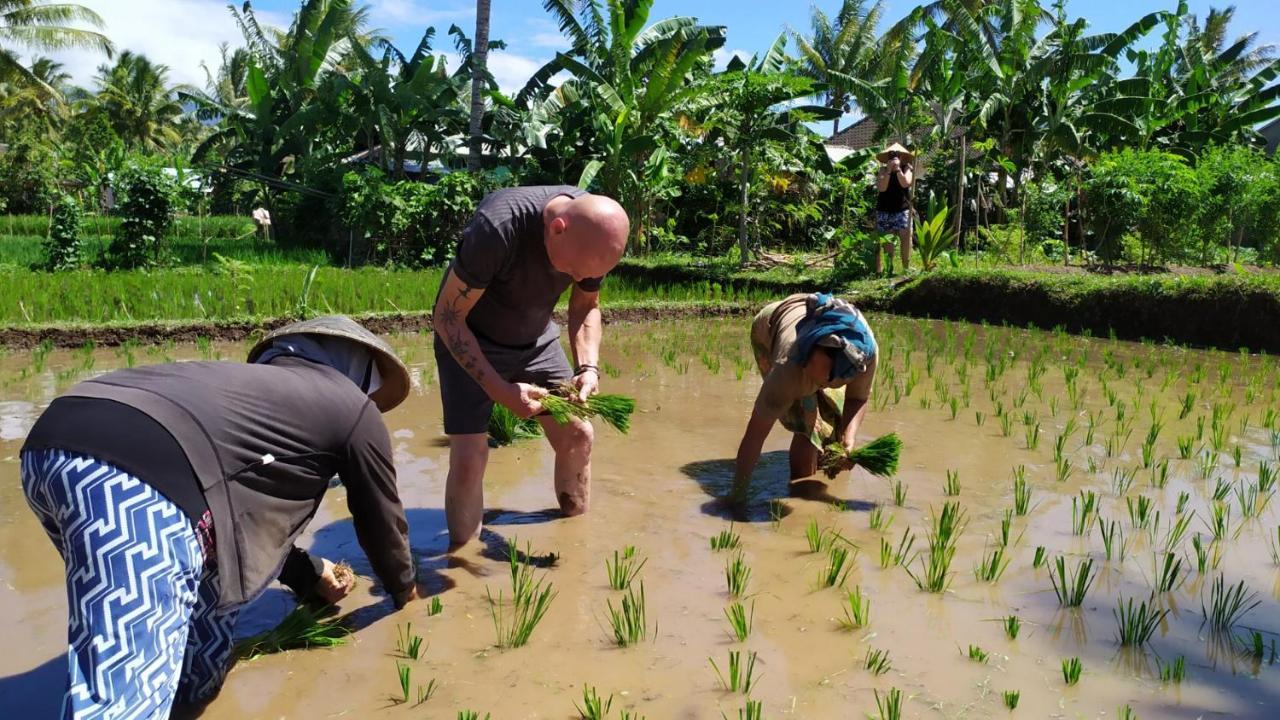 Bunga Maliq Bungalow Lombok เตเตบาตู ภายนอก รูปภาพ