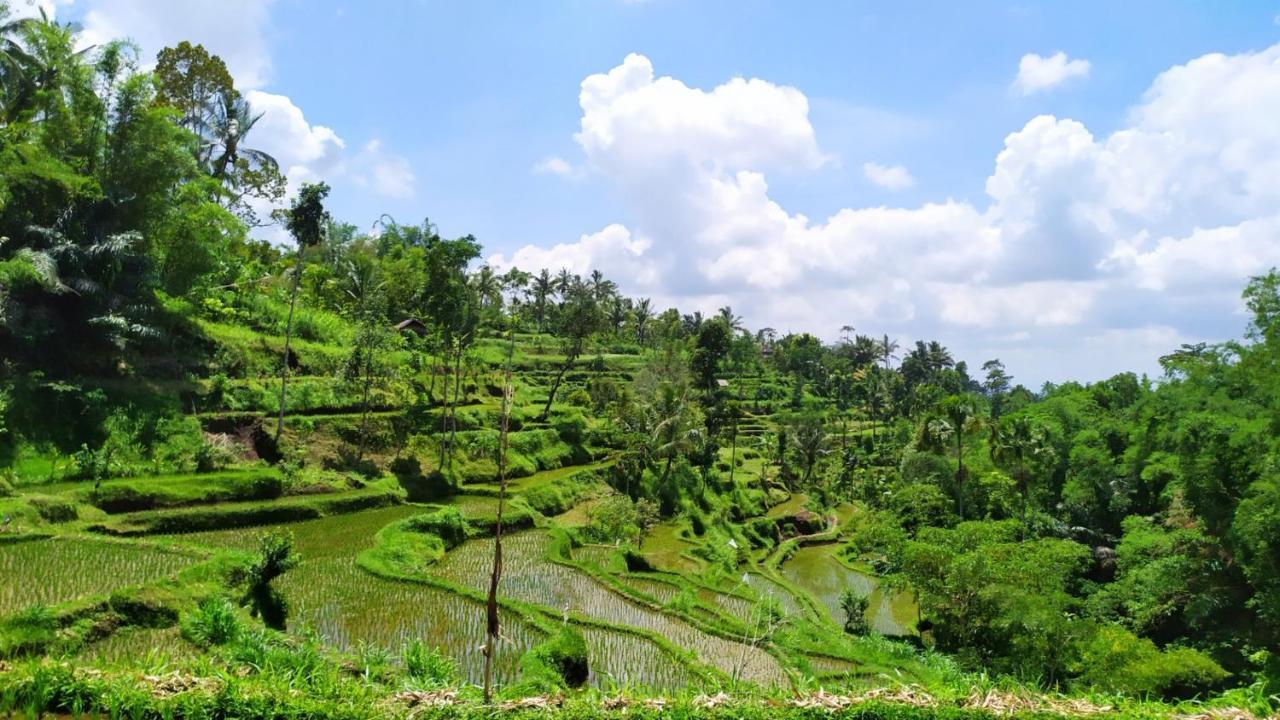 Bunga Maliq Bungalow Lombok เตเตบาตู ภายนอก รูปภาพ