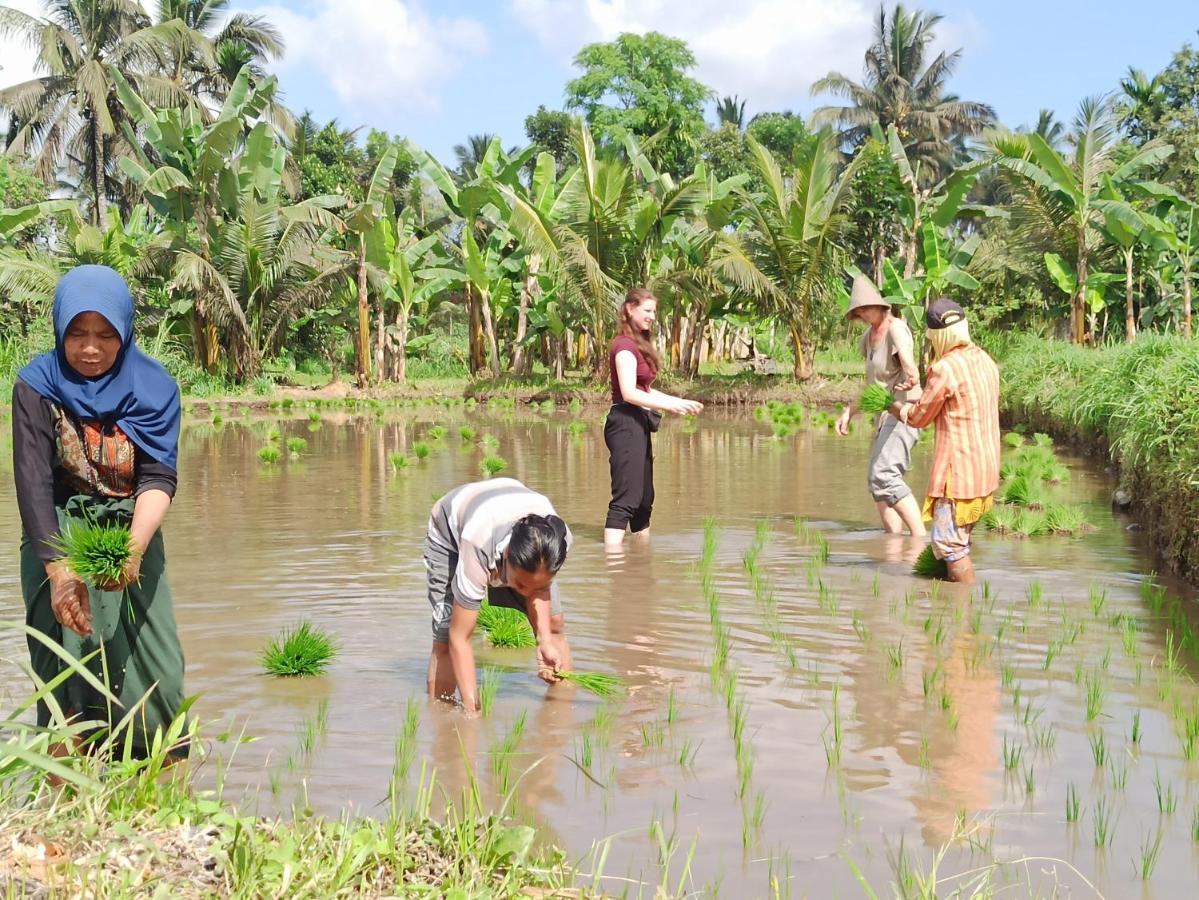Bunga Maliq Bungalow Lombok เตเตบาตู ภายนอก รูปภาพ
