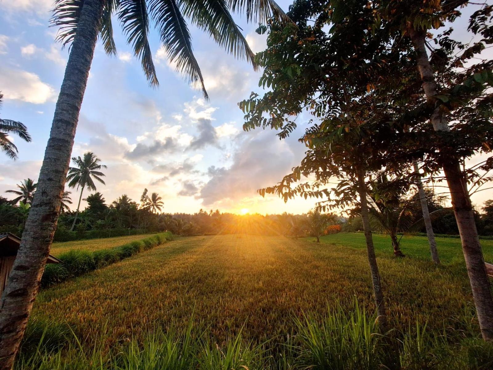 Bunga Maliq Bungalow Lombok เตเตบาตู ภายนอก รูปภาพ