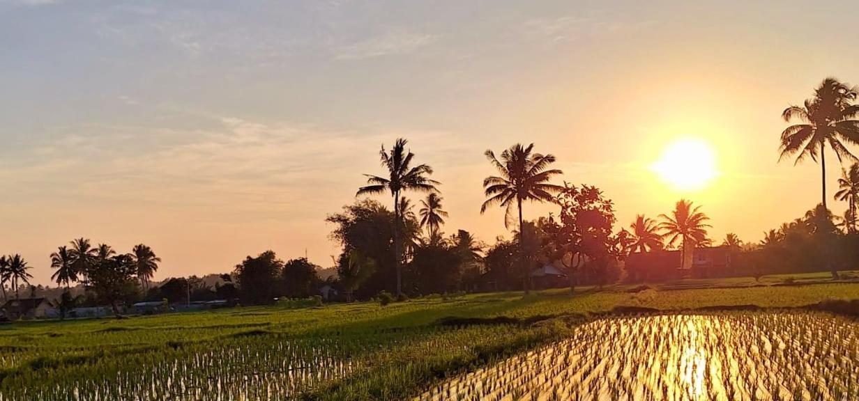 Bunga Maliq Bungalow Lombok เตเตบาตู ภายนอก รูปภาพ