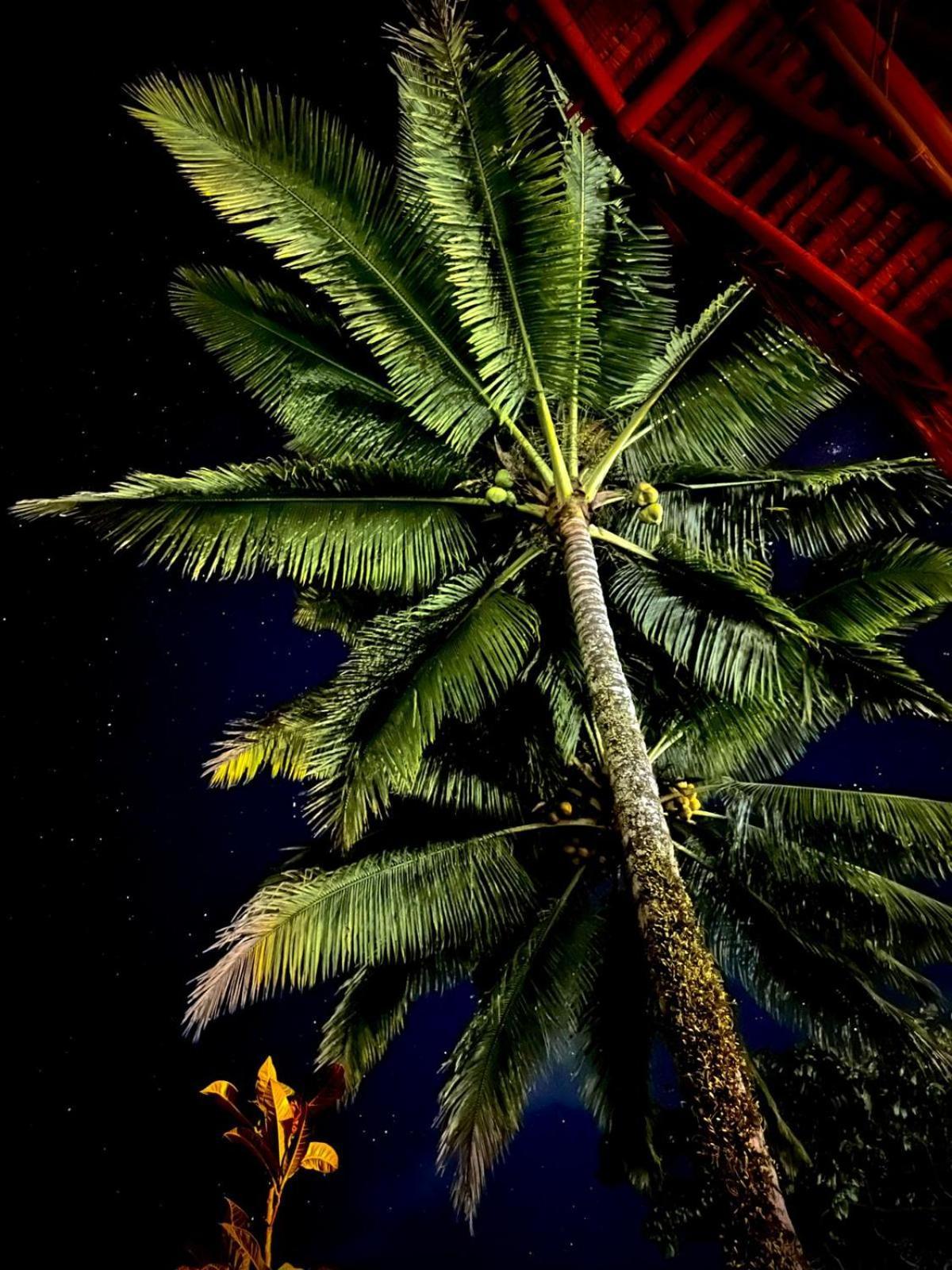 Bunga Maliq Bungalow Lombok เตเตบาตู ภายนอก รูปภาพ