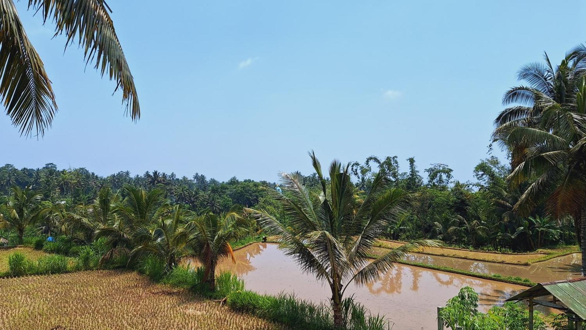 Bunga Maliq Bungalow Lombok เตเตบาตู ภายนอก รูปภาพ