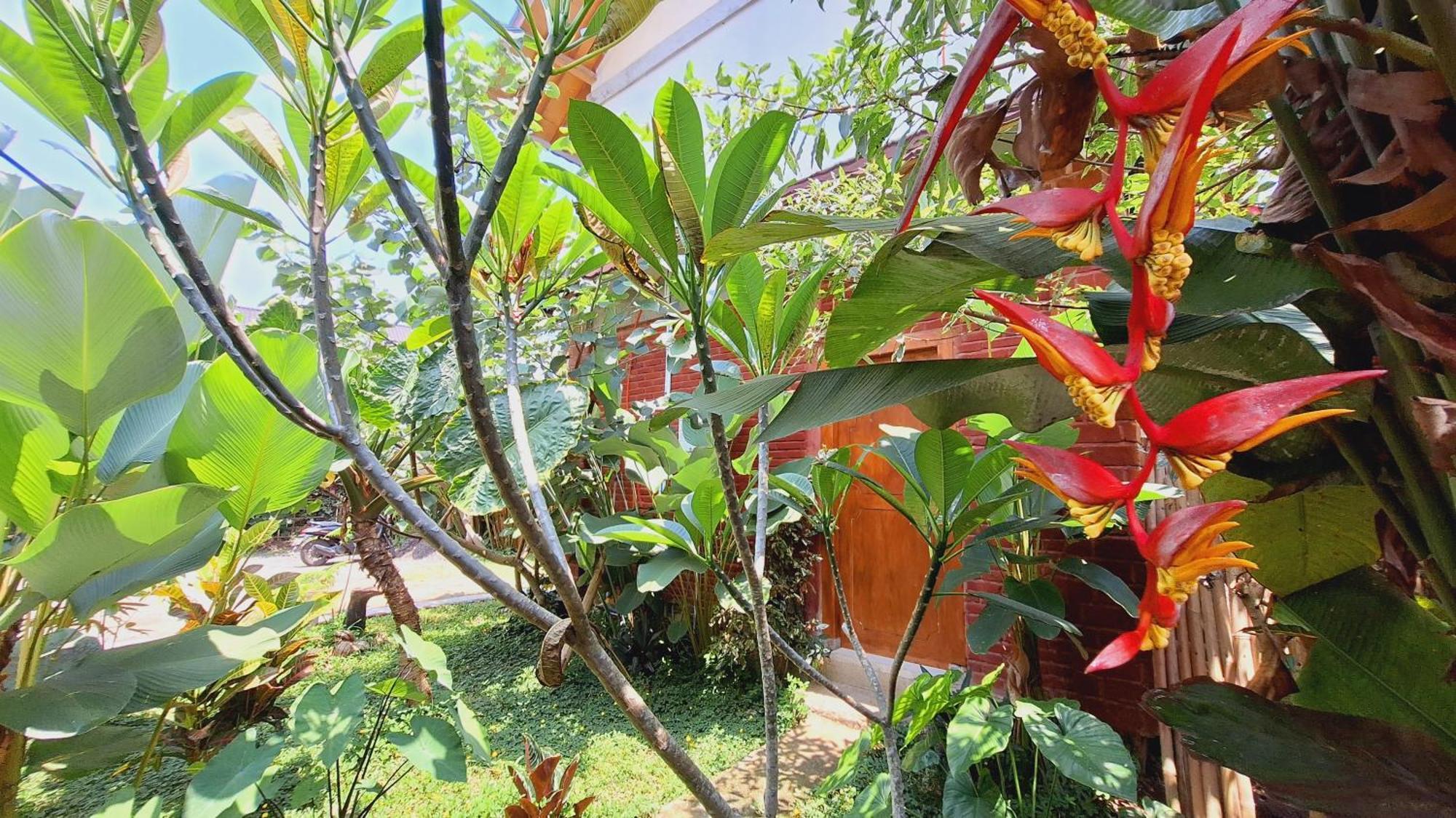 Bunga Maliq Bungalow Lombok เตเตบาตู ห้อง รูปภาพ