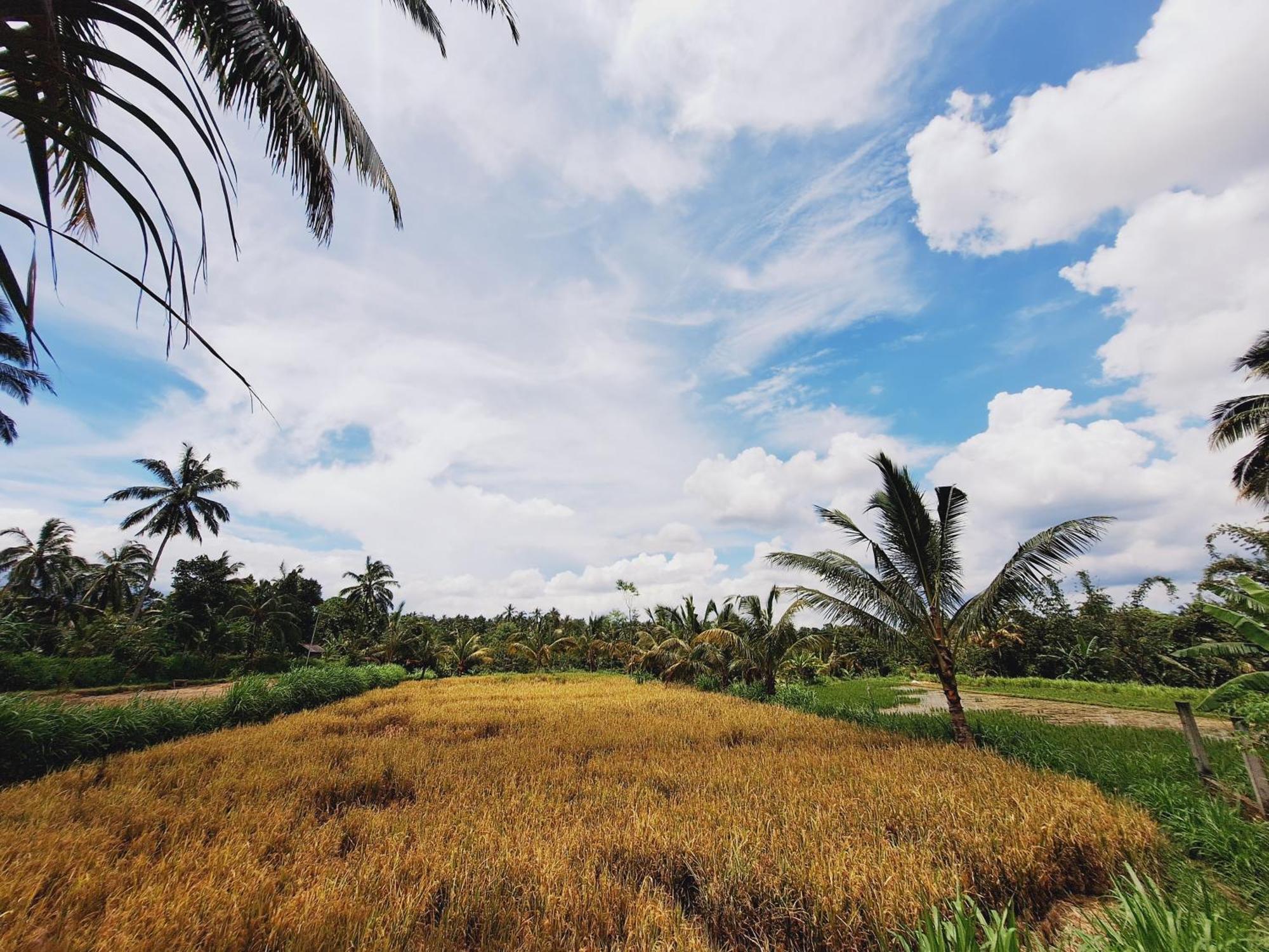 Bunga Maliq Bungalow Lombok เตเตบาตู ภายนอก รูปภาพ